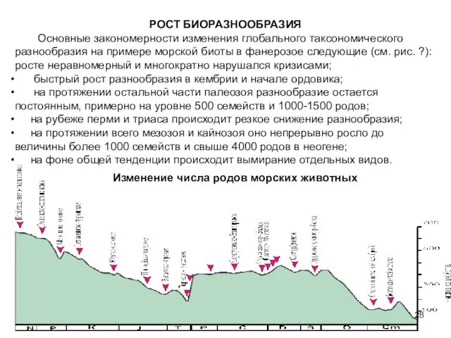 РОСТ БИОРАЗНООБРАЗИЯ Основные закономерности изменения глобального таксономического разнообразия на примере морской биоты