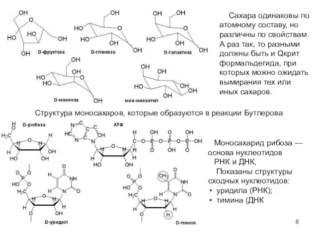 Структура моносахаров, которые образуются в реакции Бутлерова Моносахарид рибоза — основа нуклеотидов