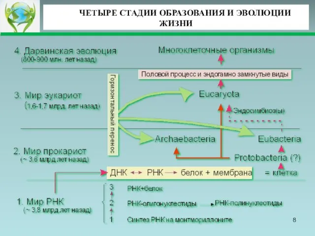 ЧЕТЫРЕ СТАДИИ ОБРАЗОВАНИЯ И ЭВОЛЮЦИИ ЖИЗНИ