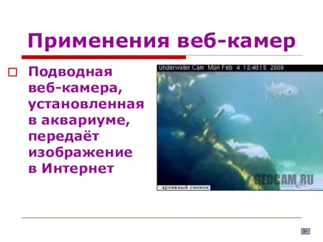 Применения веб-камер Подводная веб-камера, установленная в аквариуме, передаёт изображение в Интернет