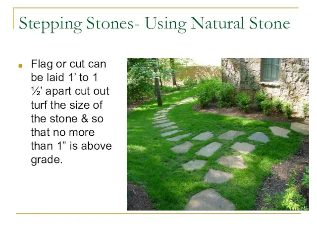 Stepping Stones- Using Natural Stone Flag or cut can be laid 1’