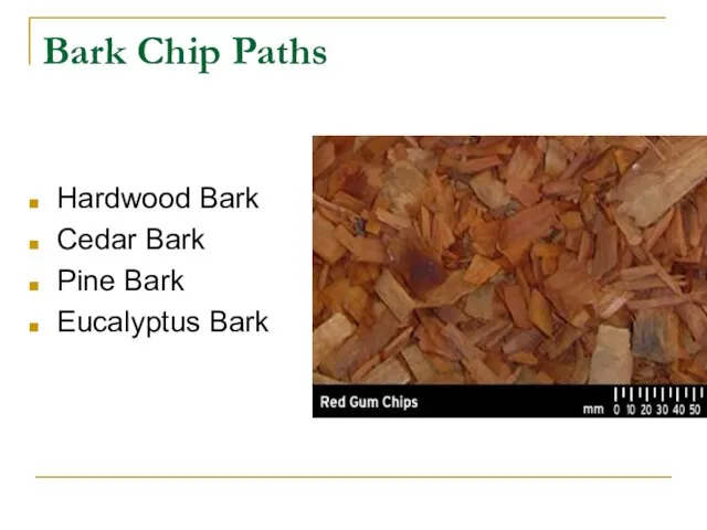 Bark Chip Paths Hardwood Bark Cedar Bark Pine Bark Eucalyptus Bark