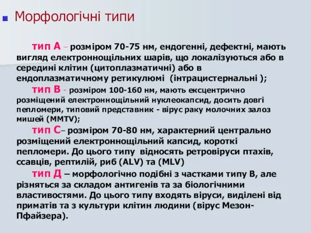 Морфологічні типи тип А – розміром 70-75 нм, ендогенні, дефектні, мають вигляд