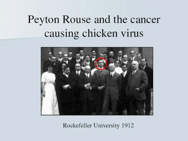 Peyton Rouse and the cancer causing chicken virus Rockefeller University 1912