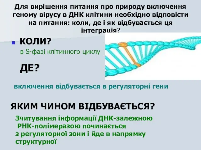 Для вирішення питання про природу включення геному вірусу в ДНК клітини необхідно