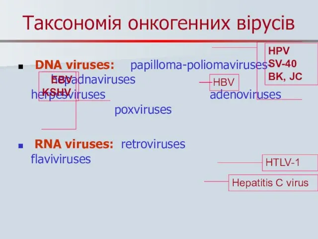 Таксономія онкогенних вірусів DNA viruses: paріlloma-poliomaviruses- hepadnaviruses herpesviruses adenoviruses poxviruses RNA viruses: retroviruses flaviviruses