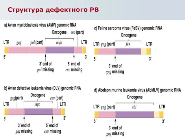 Структура дефектного РВ