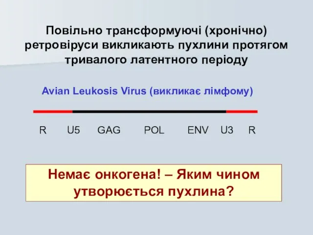 Повільно трансформуючі (хронічно) ретровіруси викликають пухлини протягом тривалого латентного періоду Немає онкогена!