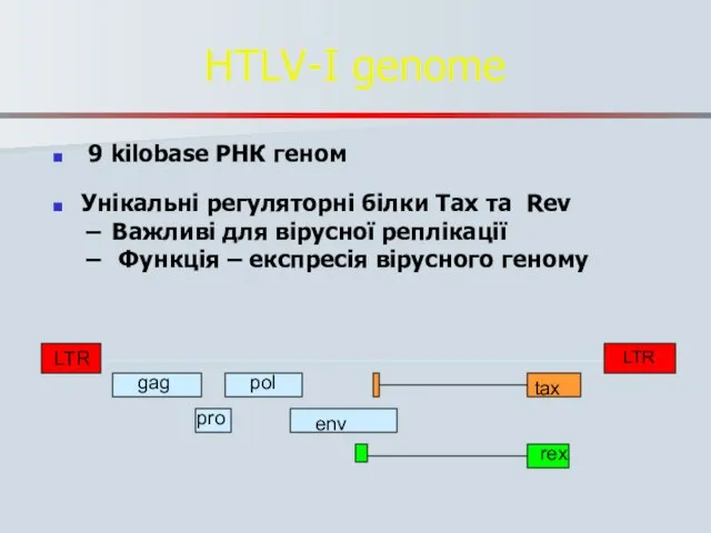 HTLV-I genome 9 kilobase РНК геном Унікальні регуляторні білки Tax та Rev