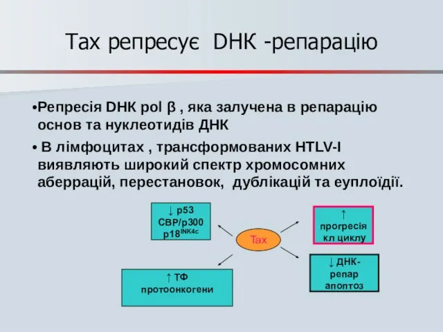 Tax репресує DНК -репарацію Репресія DНК pol β , яка залучена в