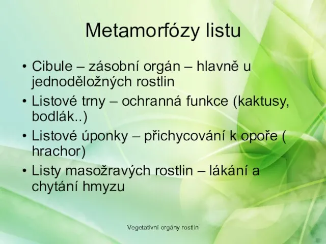 Cibule – zásobní orgán – hlavně u jednoděložných rostlin Listové trny –