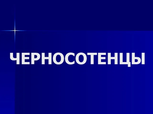 ЧЕРНОСОТЕНЦЫ