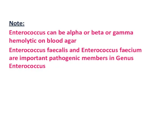 Note: Enterococcus can be alpha or beta or gamma hemolytic on blood