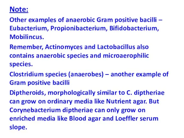Note: Other examples of anaerobic Gram positive bacilli – Eubacterium, Propionibacterium, Bifidobacterium,