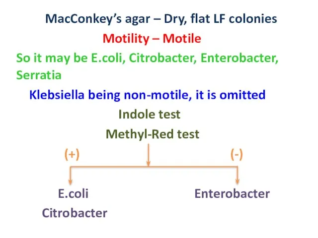 MacConkey’s agar – Dry, flat LF colonies Motility – Motile So it