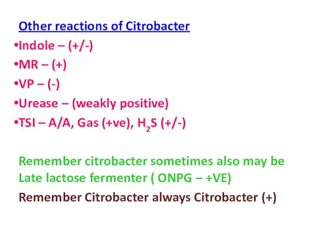 Other reactions of Citrobacter Indole – (+/-) MR – (+) VP –