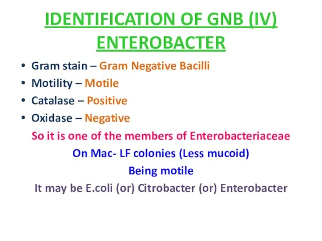 IDENTIFICATION OF GNB (IV) ENTEROBACTER Gram stain – Gram Negative Bacilli Motility