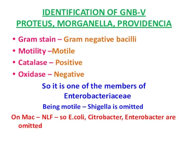 IDENTIFICATION OF GNB-V PROTEUS, MORGANELLA, PROVIDENCIA Gram stain – Gram negative bacilli
