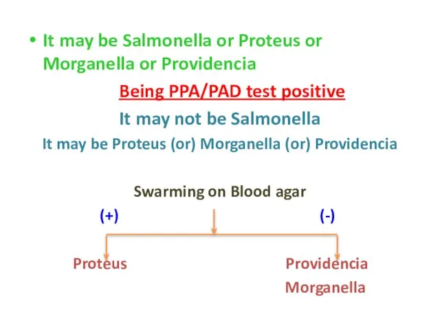 It may be Salmonella or Proteus or Morganella or Providencia Being PPA/PAD