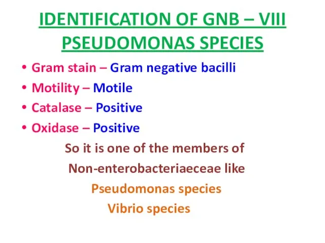 IDENTIFICATION OF GNB – VIII PSEUDOMONAS SPECIES Gram stain – Gram negative