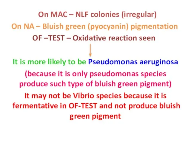 On MAC – NLF colonies (irregular) On NA – Bluish green (pyocyanin)