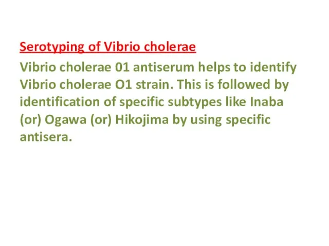 Serotyping of Vibrio cholerae Vibrio cholerae 01 antiserum helps to identify Vibrio