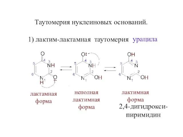 Таутомерия нуклеиновых оснований. 1) лактим-лактамная таутомерия лактамная форма неполная лактимная форма лактимная форма 2,4-дигидрокси- пиримидин урацила