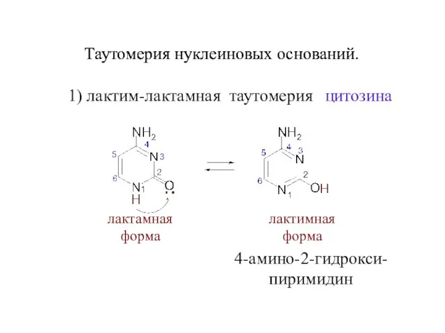 Таутомерия нуклеиновых оснований. цитозина лактамная форма лактимная форма 4-амино-2-гидрокси- пиримидин Таутомерия нуклеиновых оснований. 1) лактим-лактамная таутомерия