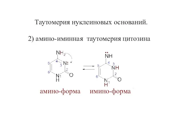 Таутомерия нуклеиновых оснований. 2) амино-иминная таутомерия цитозина амино-форма имино-форма