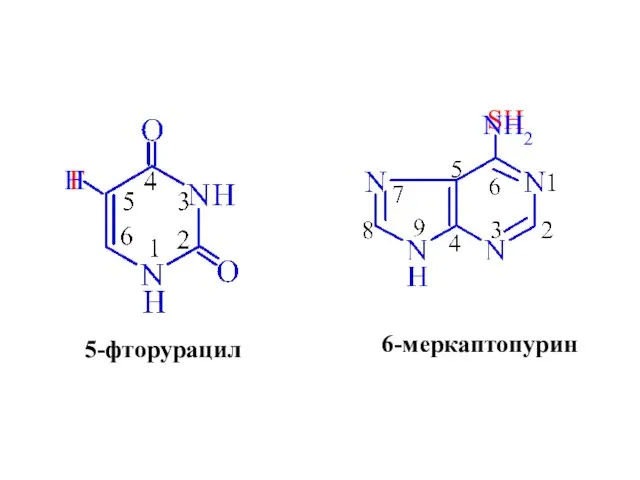F 5-фторурацил H SH 6-меркаптопурин NH2