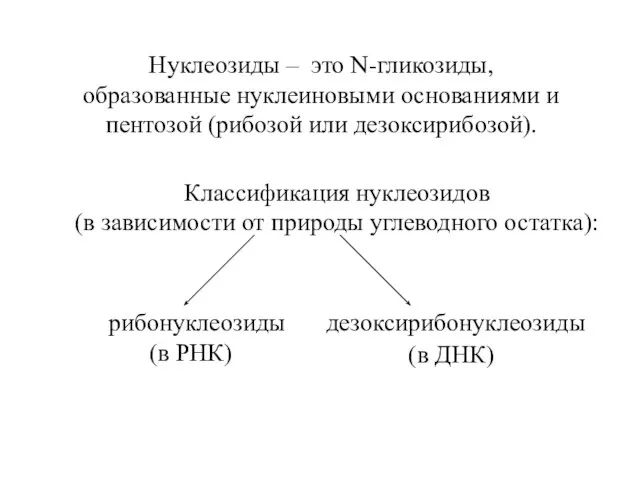 Нуклеозиды – это N-гликозиды, образованные нуклеиновыми основаниями и пентозой (рибозой или дезоксирибозой).