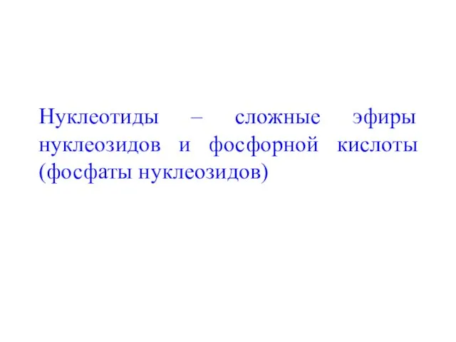 Нуклеотиды – сложные эфиры нуклеозидов и фосфорной кислоты (фосфаты нуклеозидов)