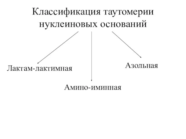 Классификация таутомерии нуклеиновых оснований Лактам-лактимная Амино-иминная Азольная