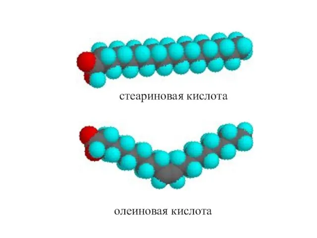 стеариновая кислота олеиновая кислота