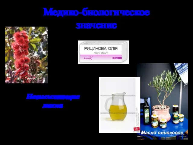 Медико-биологическое значение Масло оливковое Невысыхающие масла