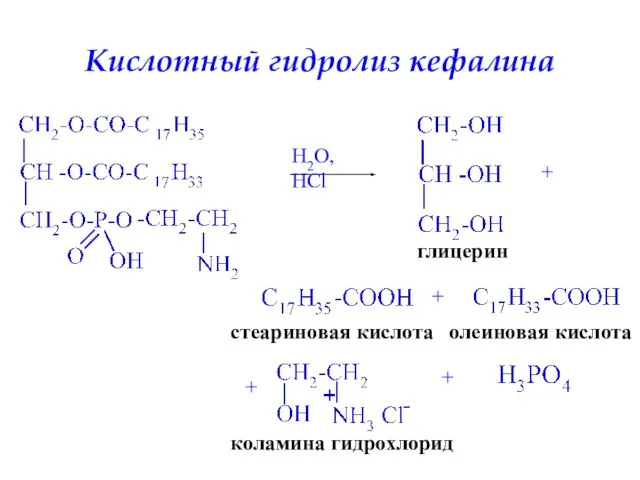 Кислотный гидролиз кефалина H2O, HCl глицерин + стеариновая кислота + олеиновая кислота + коламина гидрохлорид +