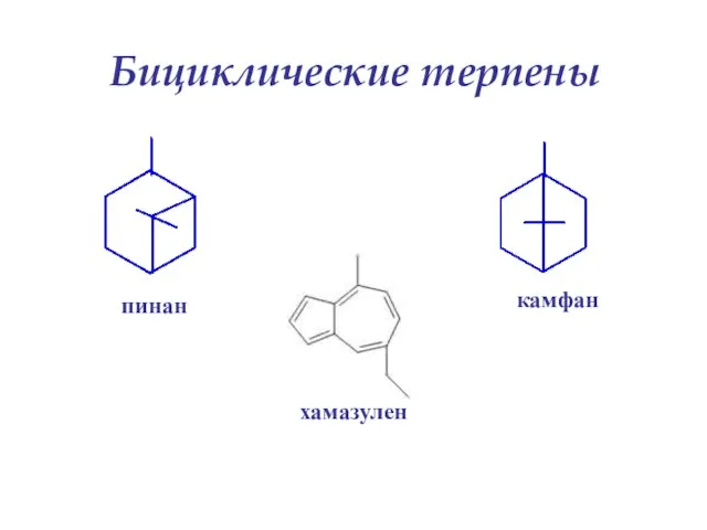 Бициклические терпены пинан камфан хамазулен