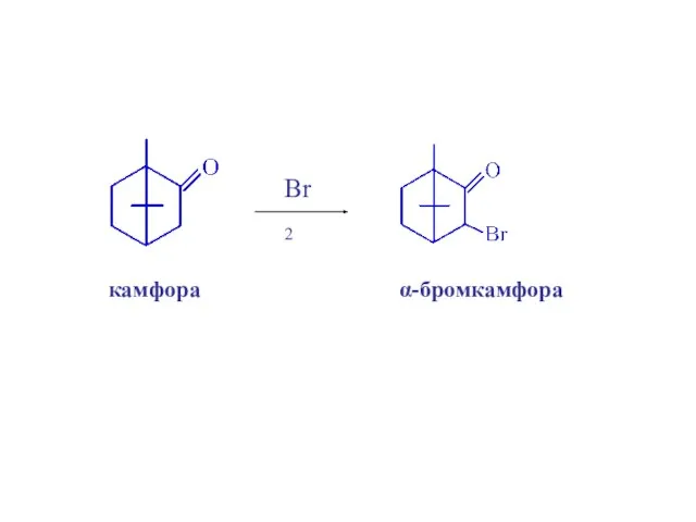 камфора Br2 α-бромкамфора