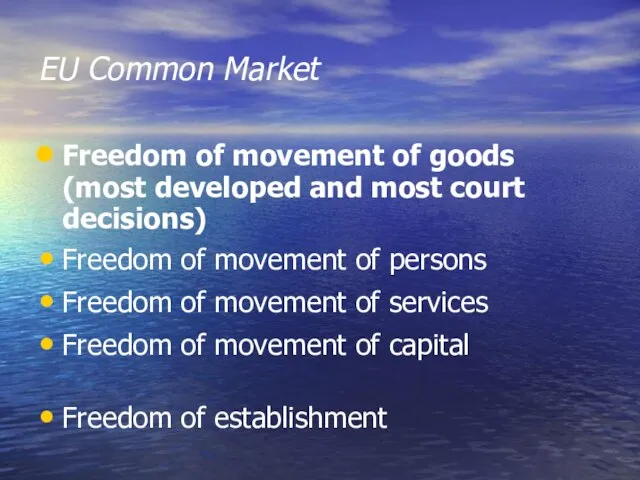EU Common Market Freedom of movement of goods (most developed and most