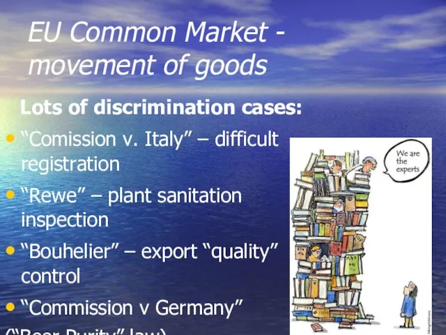 EU Common Market - movement of goods Lots of discrimination cases: “Comission