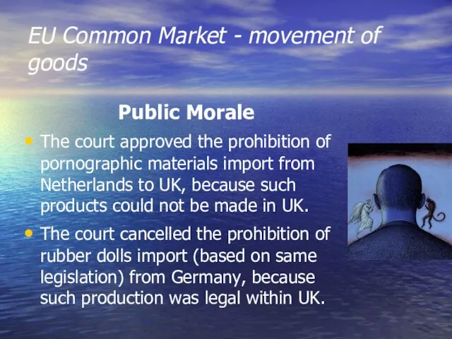 EU Common Market - movement of goods Public Morale The court approved