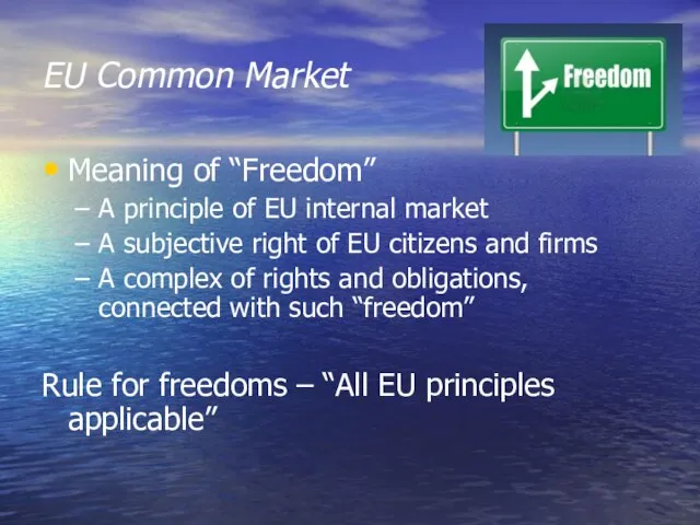 EU Common Market Meaning of “Freedom” A principle of EU internal market