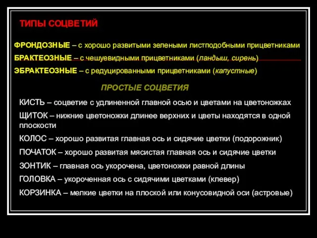 ТИПЫ СОЦВЕТИЙ ФРОНДОЗНЫЕ – с хорошо развитыми зелеными листподобными прицветниками БРАКТЕОЗНЫЕ –