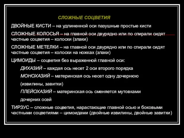 ДВОЙНЫЕ КИСТИ – на удлиненной оси пазушные простые кисти СЛОЖНЫЕ КОЛОСЬЯ –