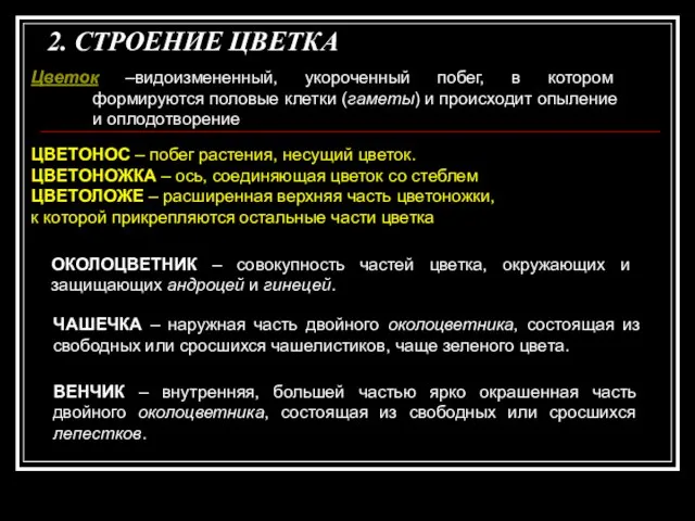 2. СТРОЕНИЕ ЦВЕТКА Цветок –видоизмененный, укороченный побег, в котором формируются половые клетки