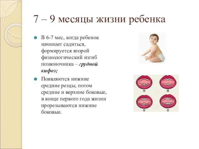 7 – 9 месяцы жизни ребенка В 6-7 мес, когда ребенок начинает