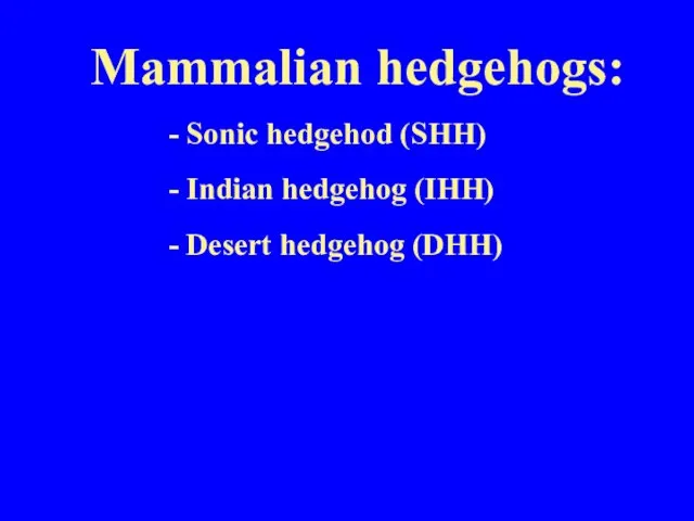 Mammalian hedgehogs: - Sonic hedgehod (SHH) - Indian hedgehog (IHH) - Desert hedgehog (DHH)