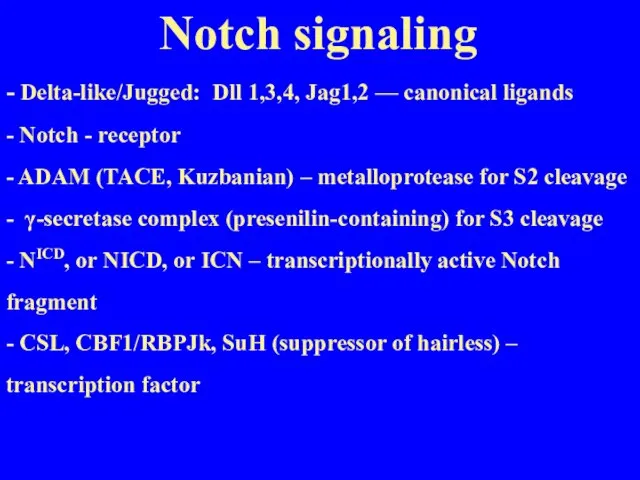 Notch signaling - Delta-like/Jugged: Dll 1,3,4, Jag1,2 — canonical ligands - Notch