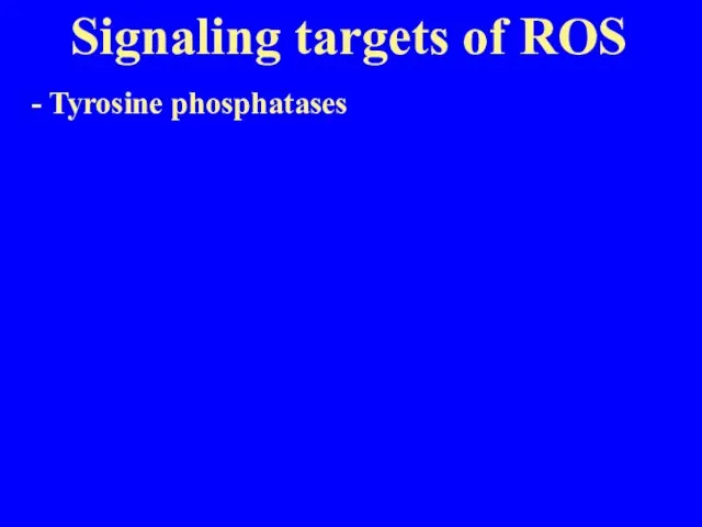 Signaling targets of ROS - Tyrosine phosphatases