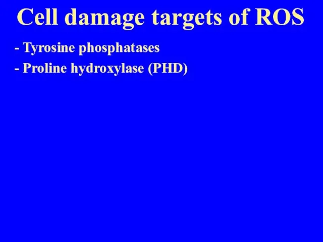 Cell damage targets of ROS - Tyrosine phosphatases - Proline hydroxylase (PHD)